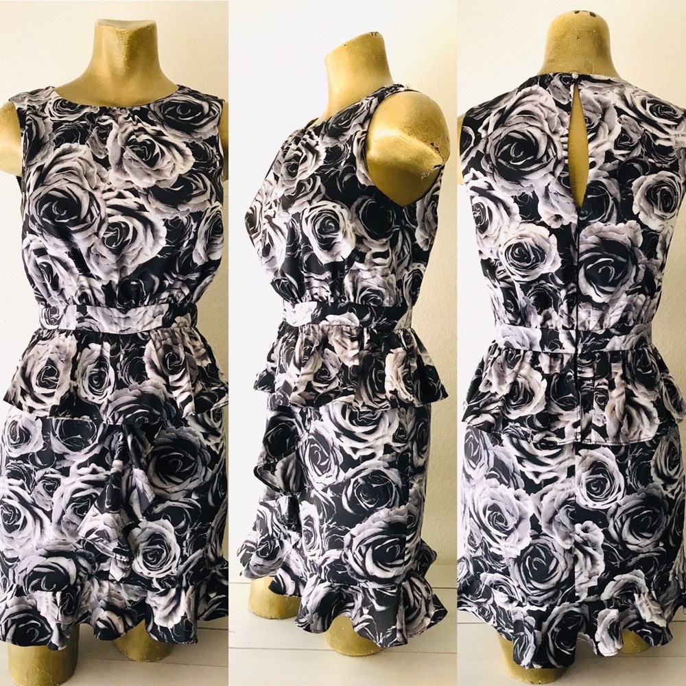 KATE YOUNG for Target ROSE Ruffle DRESS Size 2 - Picture 6 of 13